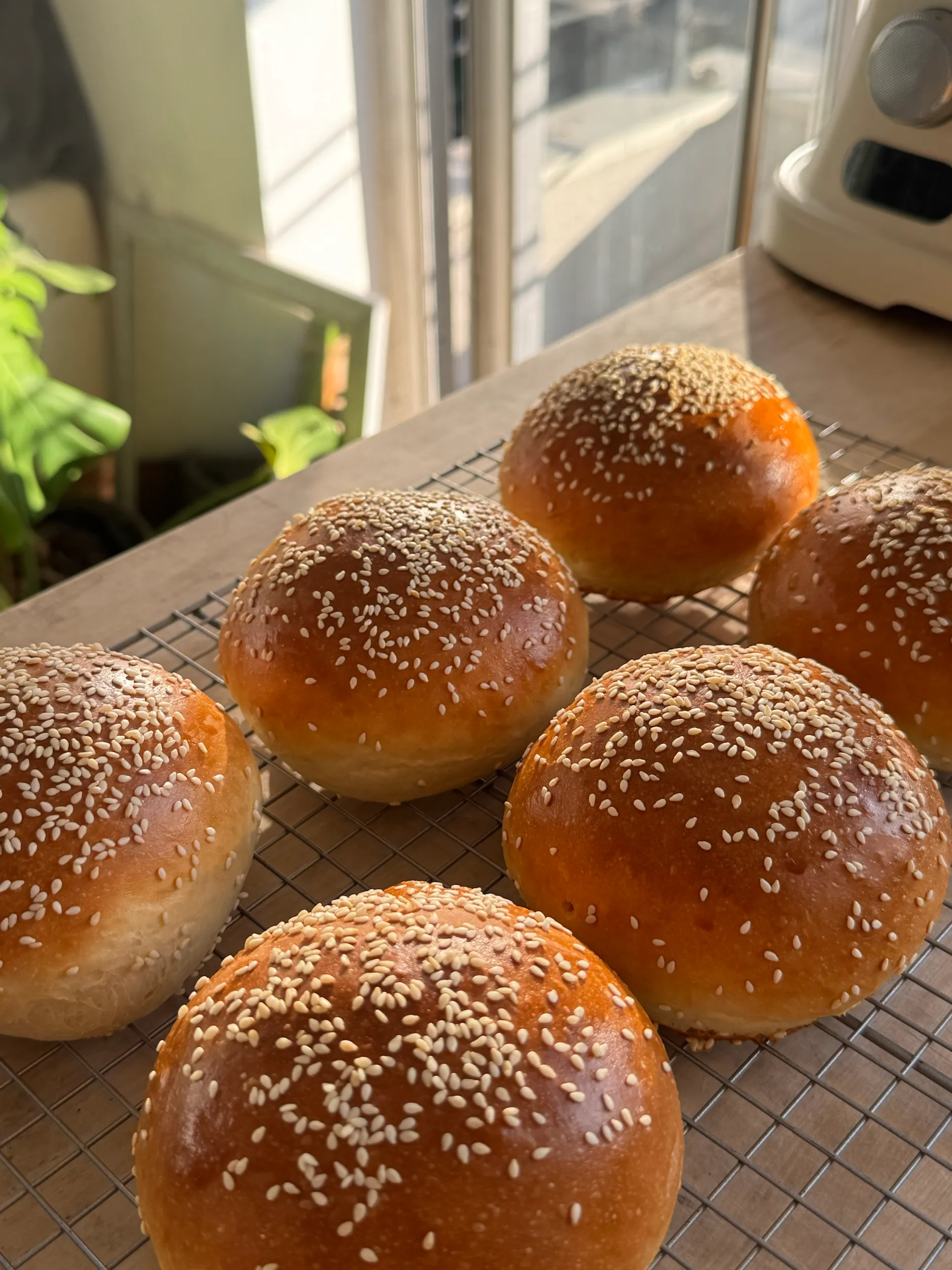 לחמניות המבורגר